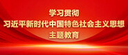 大鸡吧操我爽爽学习贯彻习近平新时代中国特色社会主义思想主题教育_fororder_ad-371X160(2)